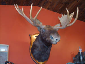 picture080.jpg